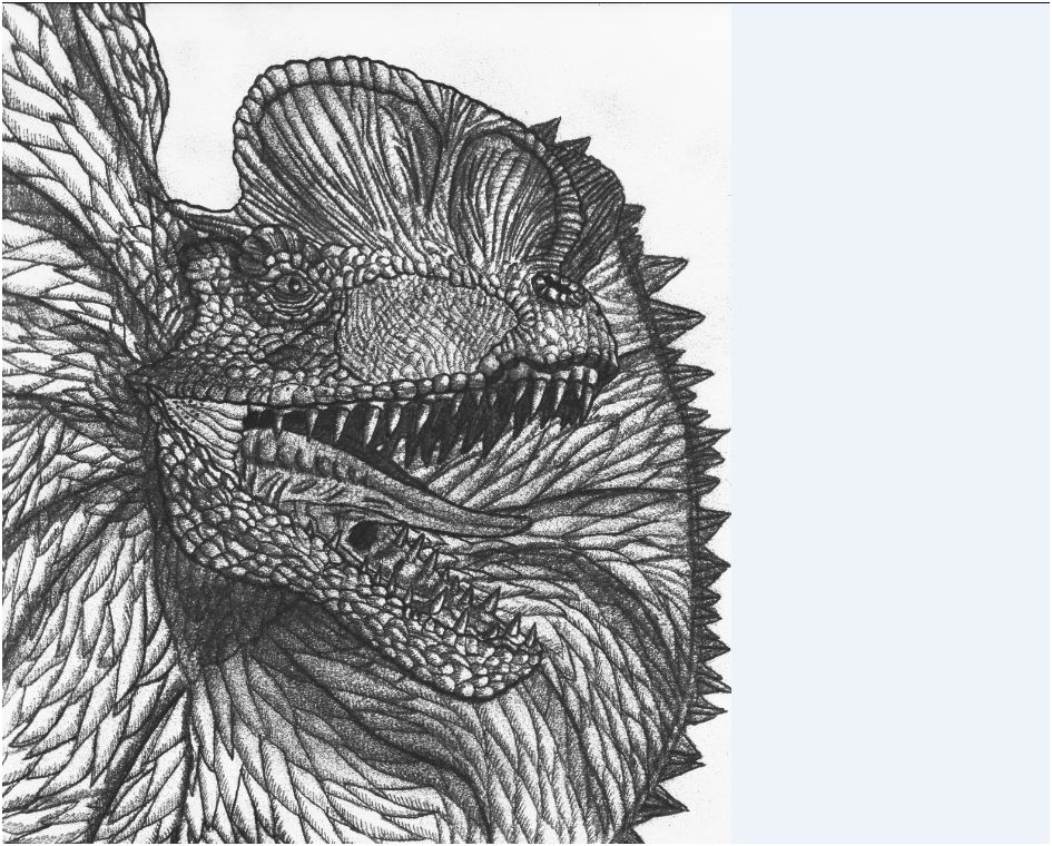 945x760 dilophosaurus drawing for contest - Dilophosaurus Drawing