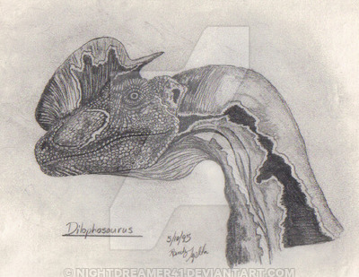 400x309 dilophosaurus drawing - Dilophosaurus Drawing