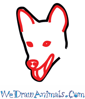300x350 how to draw a dingo - Dingo Drawing