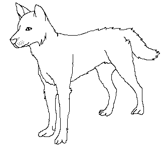 333x293 dingo dog drawing - Dingo Drawing