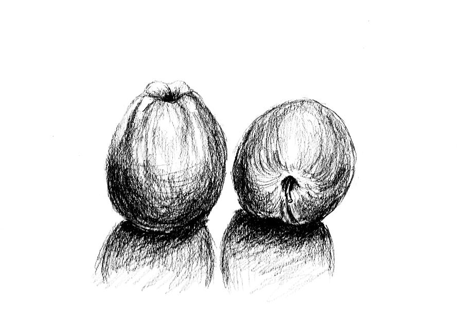 900x616 Two Apple On Dinner Table Drawing - Dinner Table Drawing