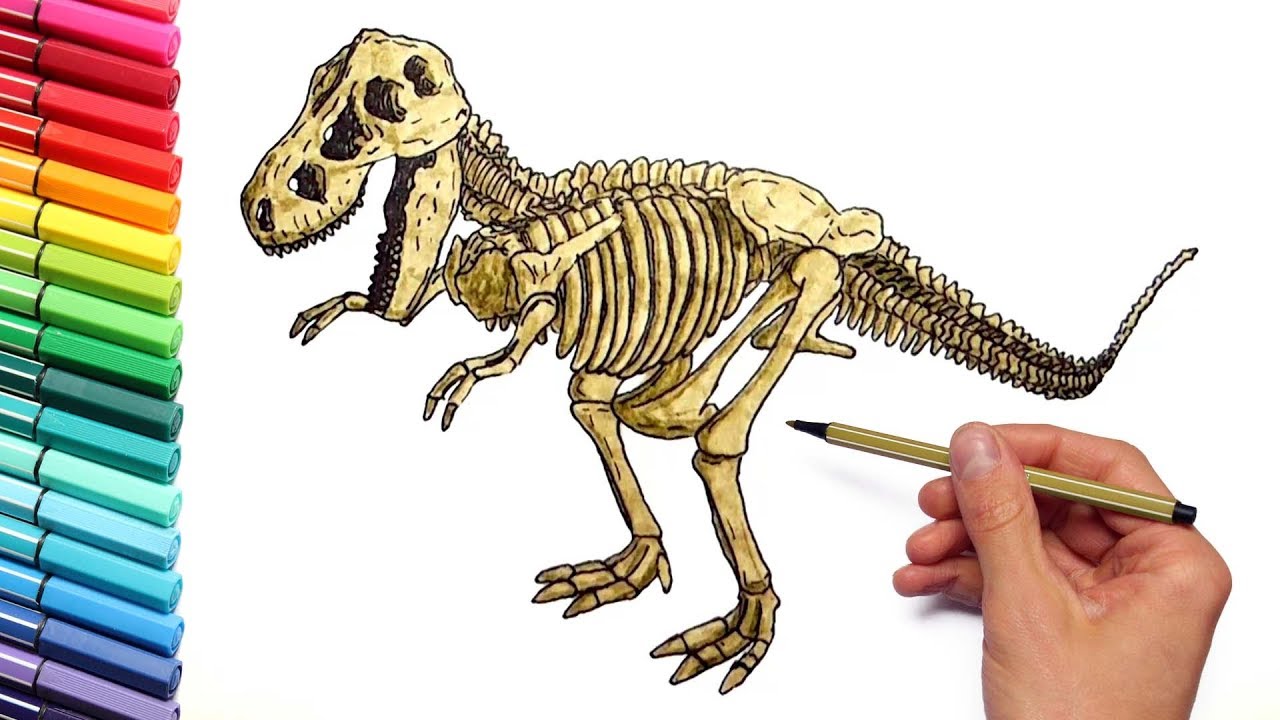 1280x720 Dinosaur Skeleton Color Pages For Childrens - Dinosaur Bones Drawing