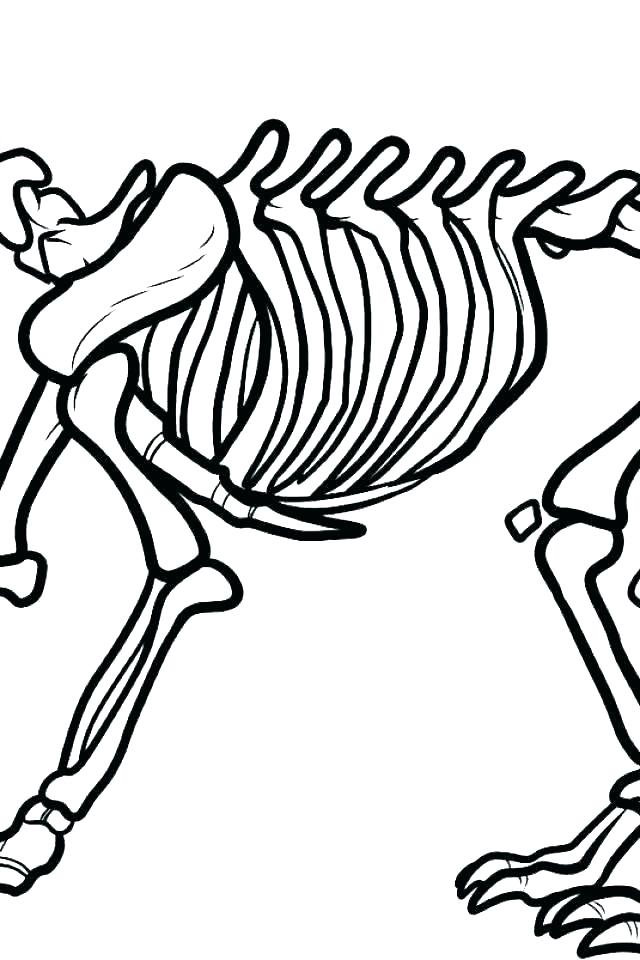 640x960 dinosaur skull drawing at free for personal use dinosaur pasta - Dinosaur Bones Drawing
