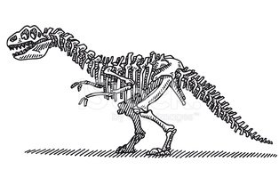 314x200 Dinosaur Bones Drawing Stock Vectors - Dinosaur Bones Drawing