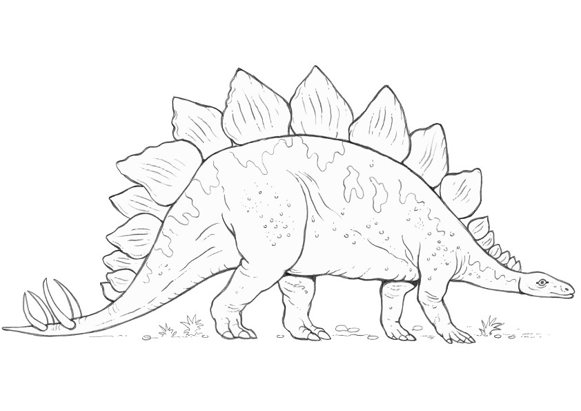 842x595 Free Printable Dinosaur Coloring Pages For Kids - Dinosaur Drawing
