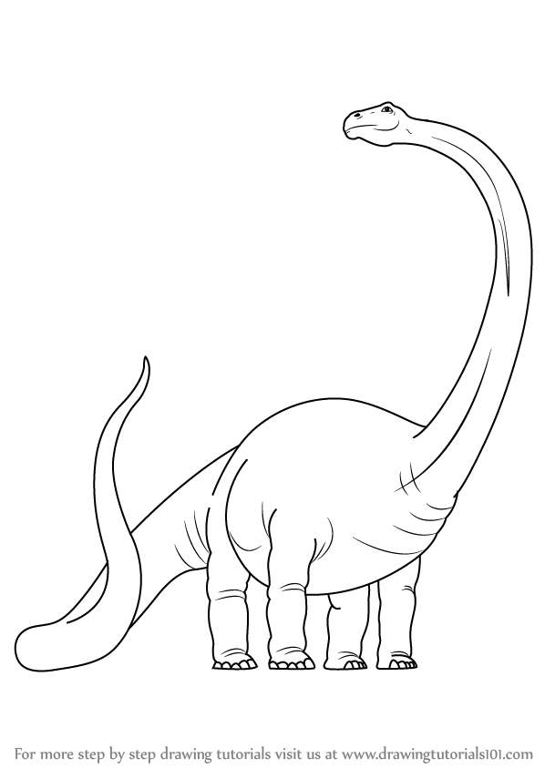 598x844 Learn How To Draw A Dinosaur - Dinosaur Drawing