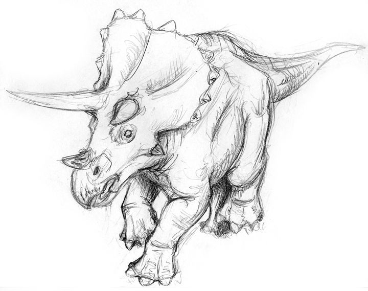720x569 triceratops pinned for jacob in dinosaur drawing - Dinosaur Drawing