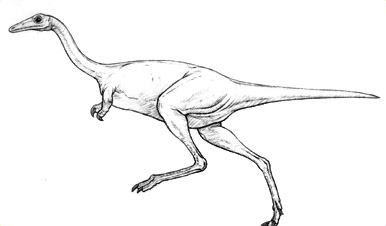 386x226 Drawing Dinos Amnh - Dinosaur Drawing