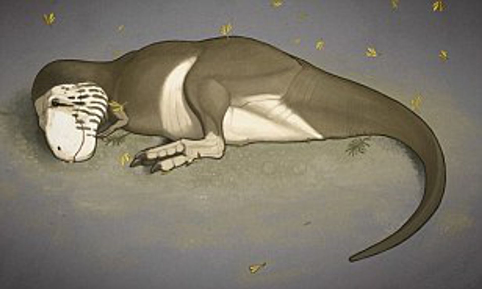 1908x1146 The Book That Could Change The Way We See Dinosaurs We Think - Dinosaur Drawing Book