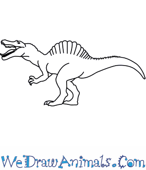 300x350 How To Draw A Spinosaurus - Dinosaur Drawing Easy