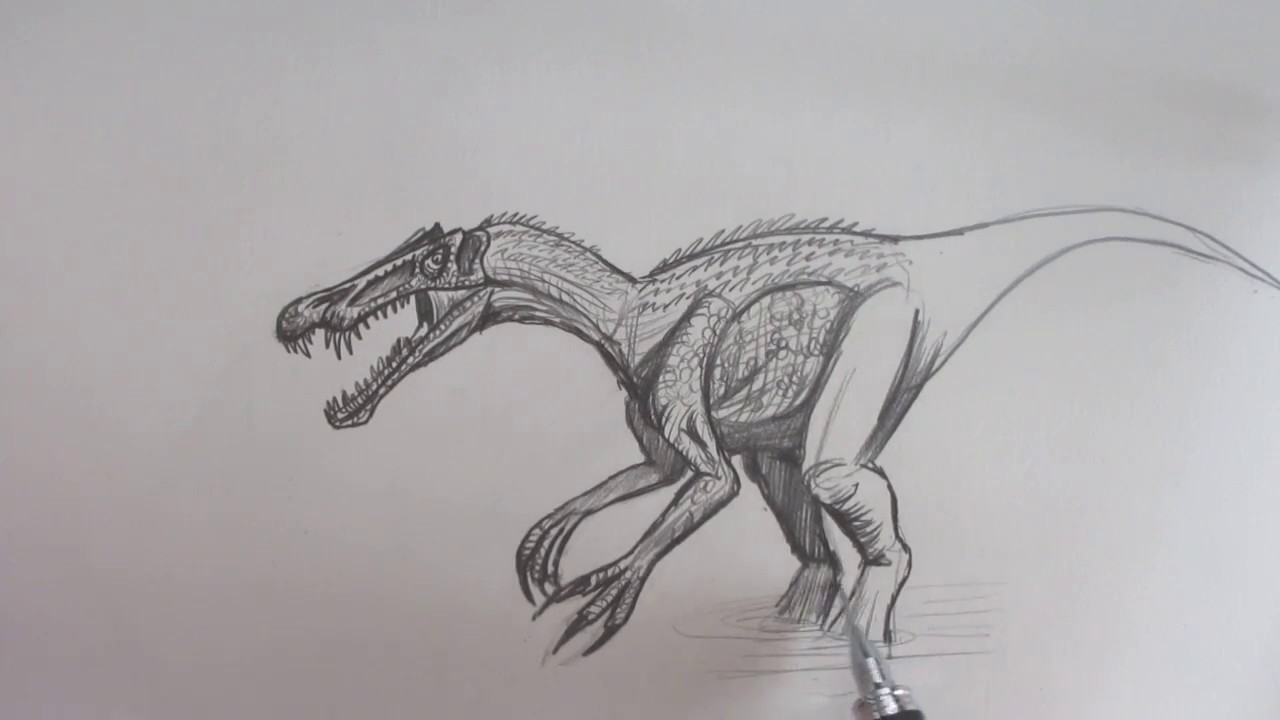 Dinosaur Pencil Drawing At Paintingvalley Com Explore Collection Of Dinosaur Pencil Drawing