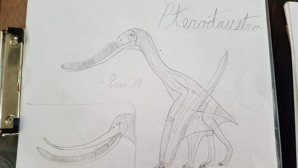 1024x576 Dinosaur Drawing - Dinosaur Drawing Game