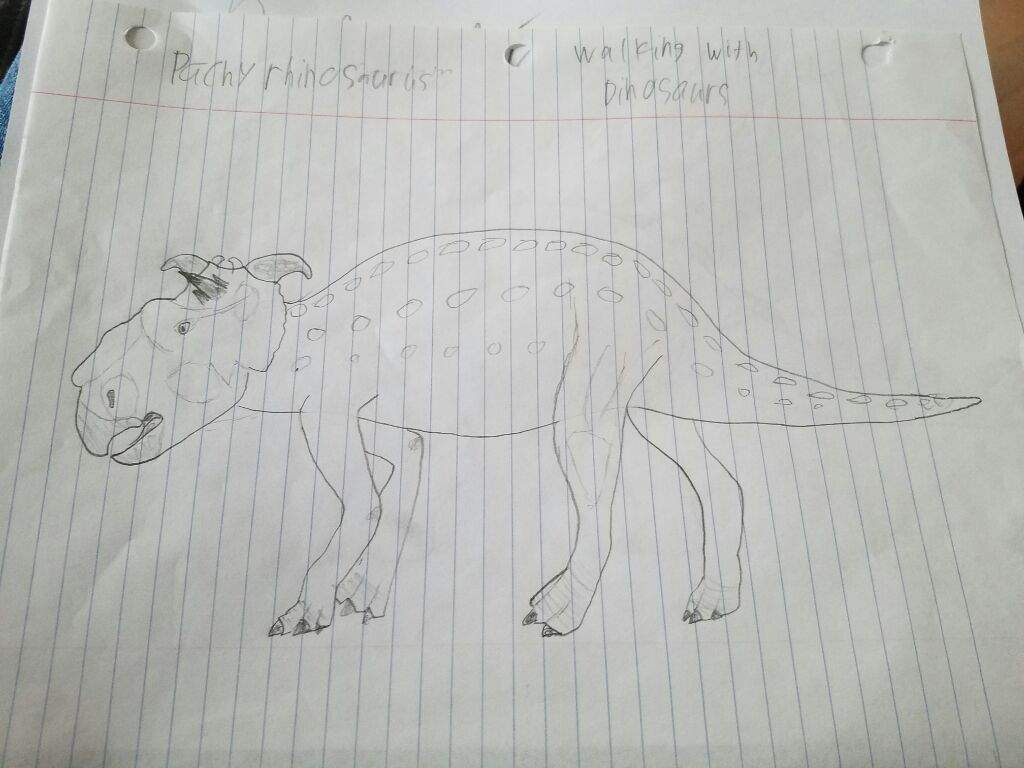 1024x768 Dinosaur Drawing - Dinosaur Drawing Game