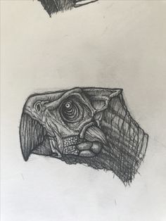 236x314 best how to draw dinosaurs images dinosaur drawing, dinosaur - Dinosaur Drawing Game