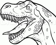 236x192 How To Draw A Raptor Head, Step - Dinosaur Drawing Images
