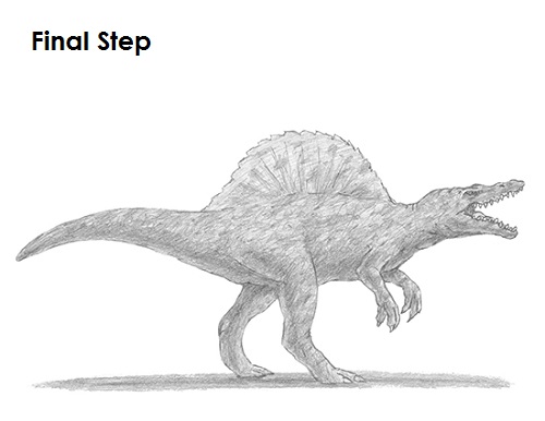 500x386 How To Draw A Spinosaurus Dinosaur - Dinosaur Drawing Images