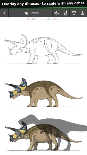 300x533 Pose Draw Dinosaurs On The App Store - Dinosaur Drawing Images