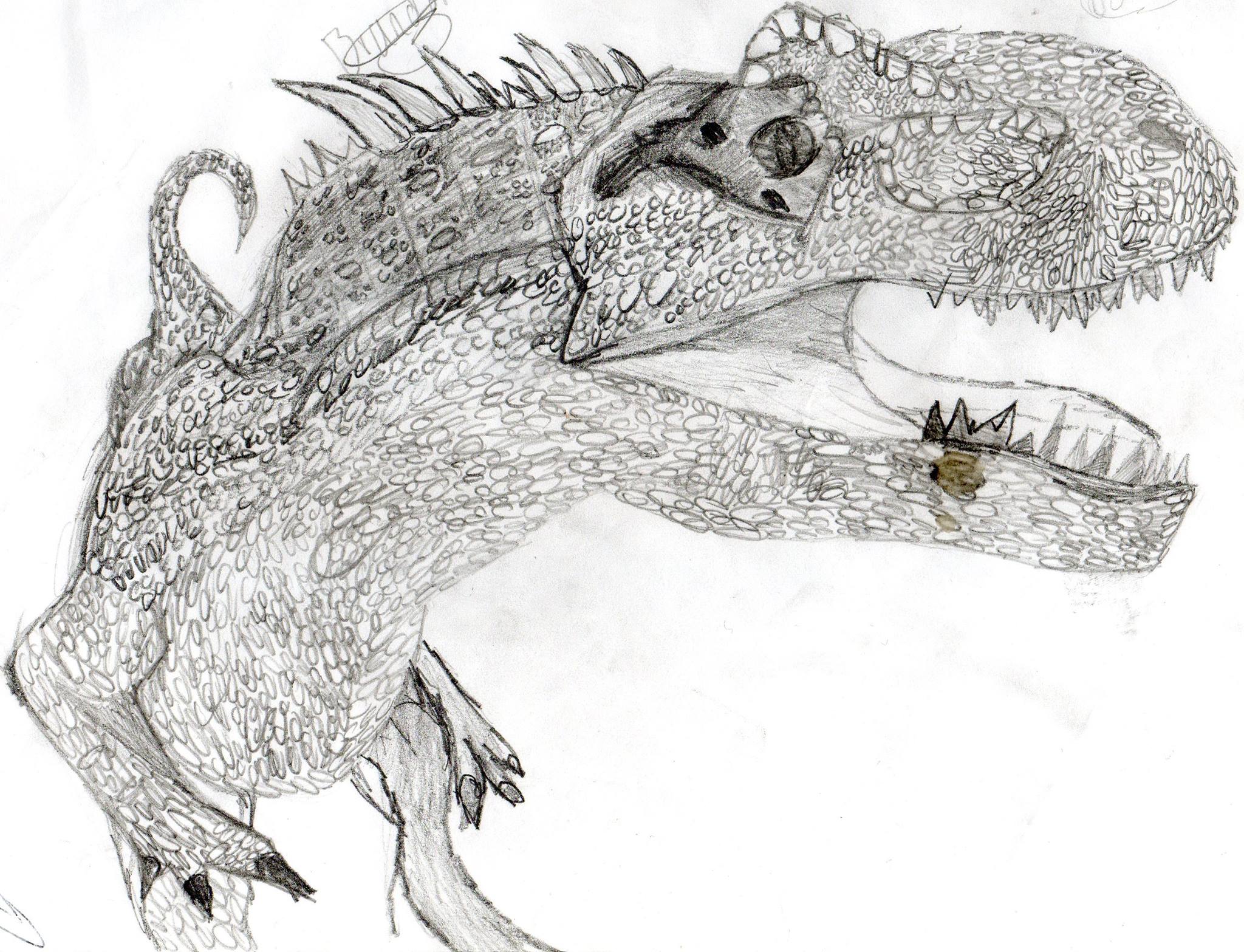 2048x1567 dinosaur fan sends in dinosaur drawing - Dinosaur Drawing Images