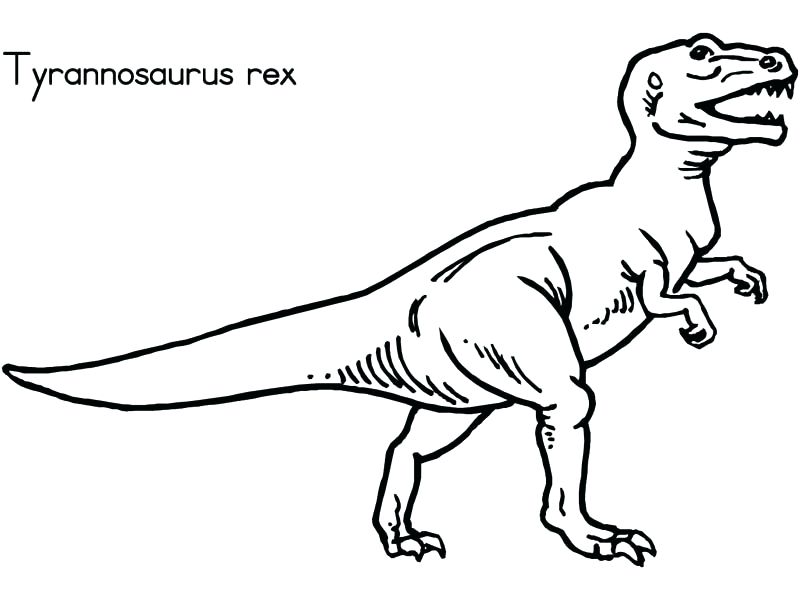 800x600 Dinosaur Outline Coloring Pages Coloring Pages Dinosaurs - Dinosaur Drawing Outline