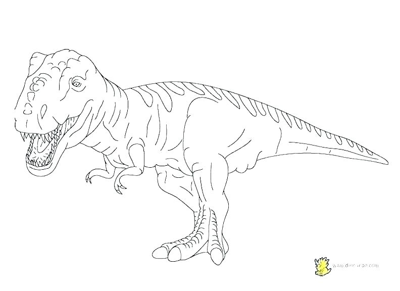 792x576 Dinosaur Outline Coloring Pages Lol Pets Pictures To Color - Dinosaur Drawing Outline