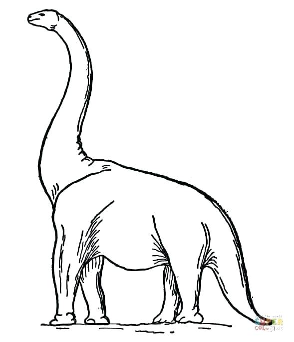 589x685 Dinosaur Outline Coloring Pages Skeleton - Dinosaur Drawing Outline