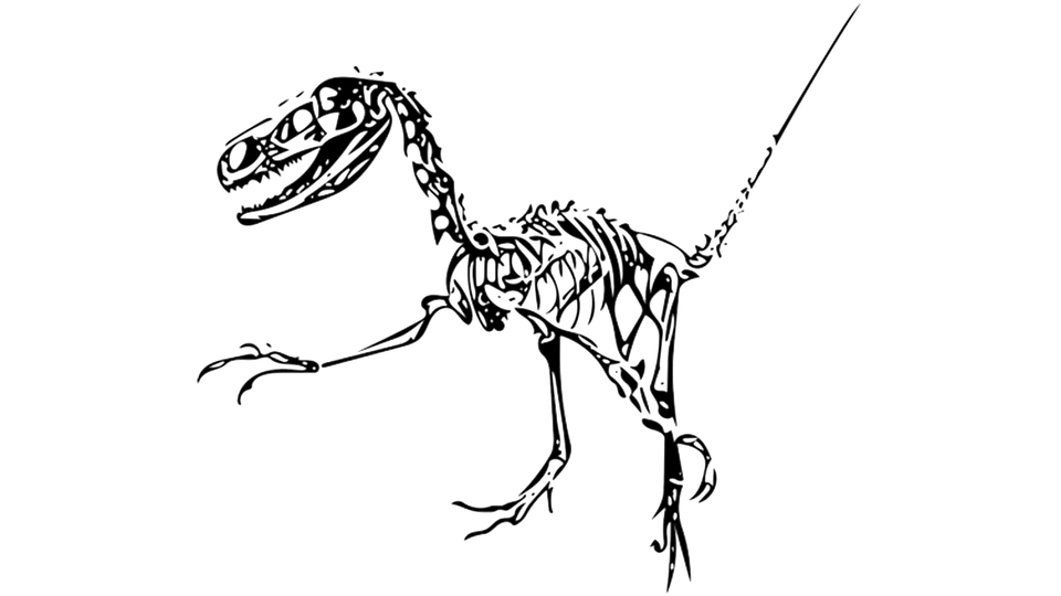 960x540 Dinosaurs Clipart Outline - Dinosaur Drawing Outline