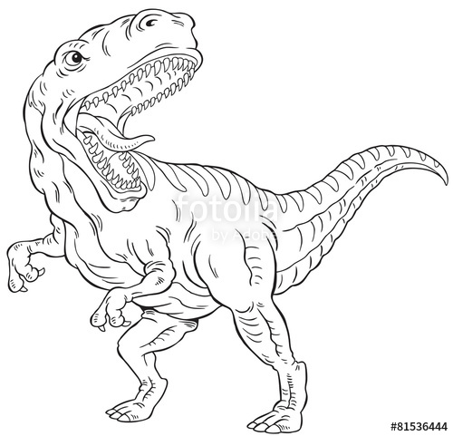500x481 T Rex Dinosaur Outline Stock Image And Royalty Free Vector - Dinosaur Drawing Outline