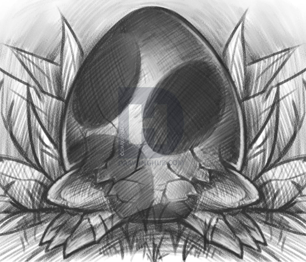1035x885 How To Draw A Dinosaur Egg, Step - Dinosaur Egg Drawing