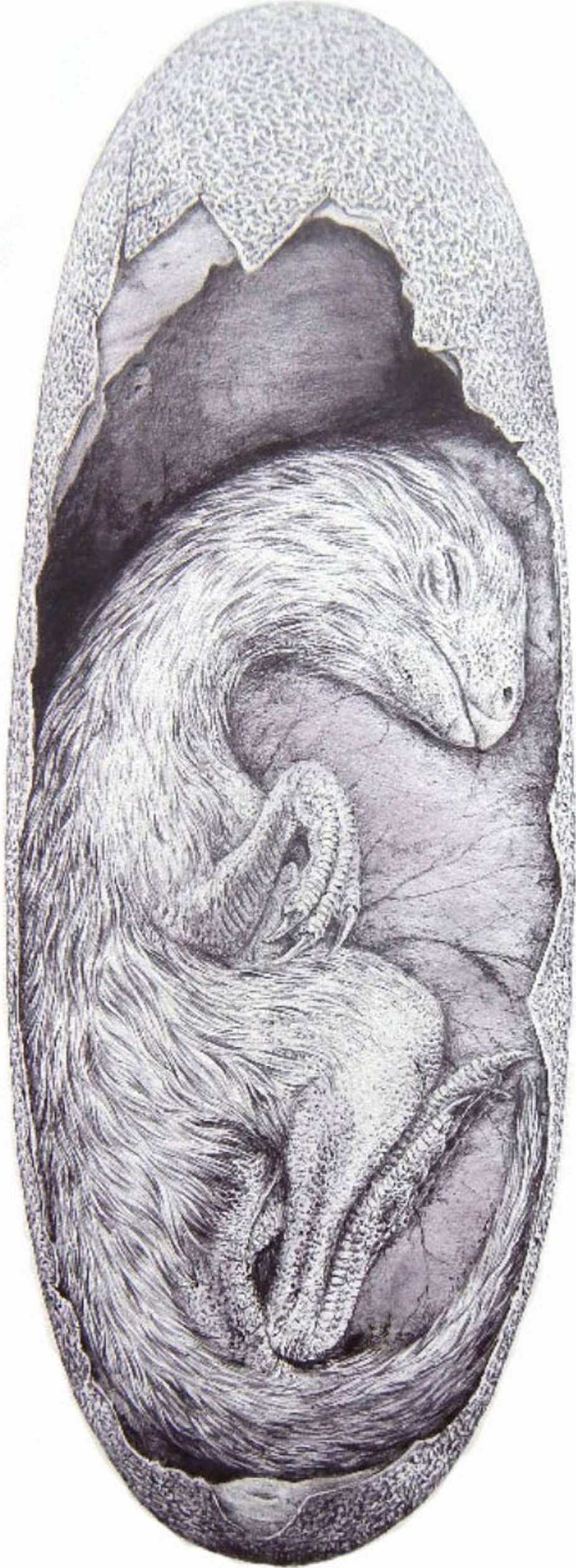 926x2520 Baby Louie The Dinosaur Finally Finds His Family Inverse - Dinosaur Egg Drawing