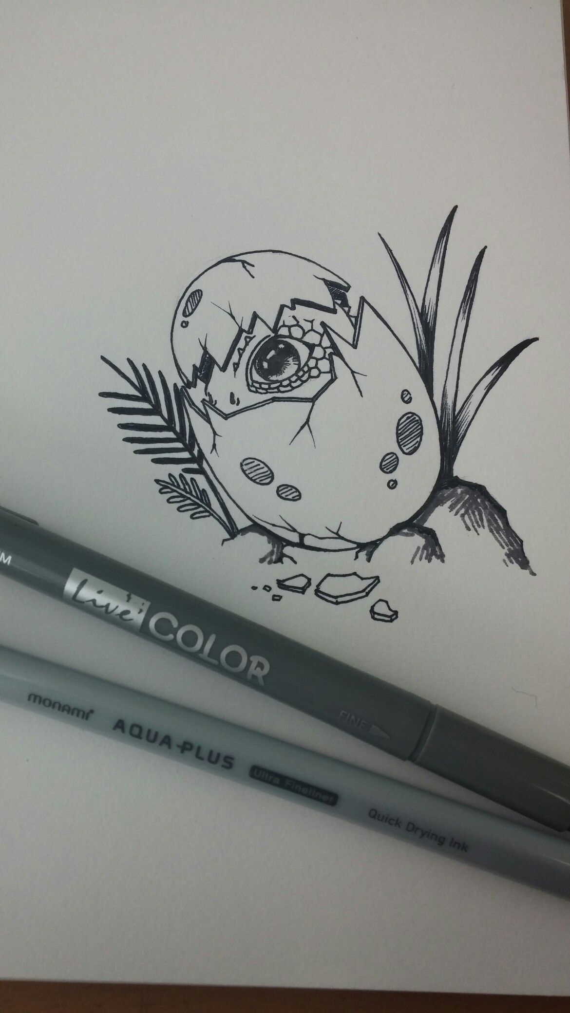 1170x2080 dinosaur egg rock art ideas and painting in dinosaur eggs - Dinosaur Egg Drawing