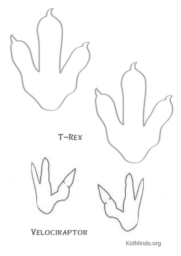 724x1024 Easy Solar Print Dinosaur Footprints For Kids To Make - Dinosaur Footprint Drawing