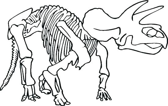 550x347 dinosaur fossil coloring pages colouring - Dinosaur Fossil Drawing