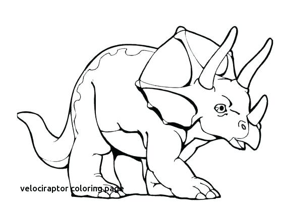 dinosaur fossil colouring pages