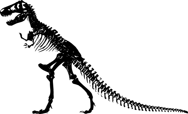 600x365 trex clip art freeuse stock skeleton huge freebie! download - Dinosaur Fossil Drawing