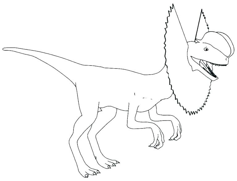 768x586 dinosaur skull drawing at free for personal use dinosaur pasta - Dinosaur Fossil Drawing