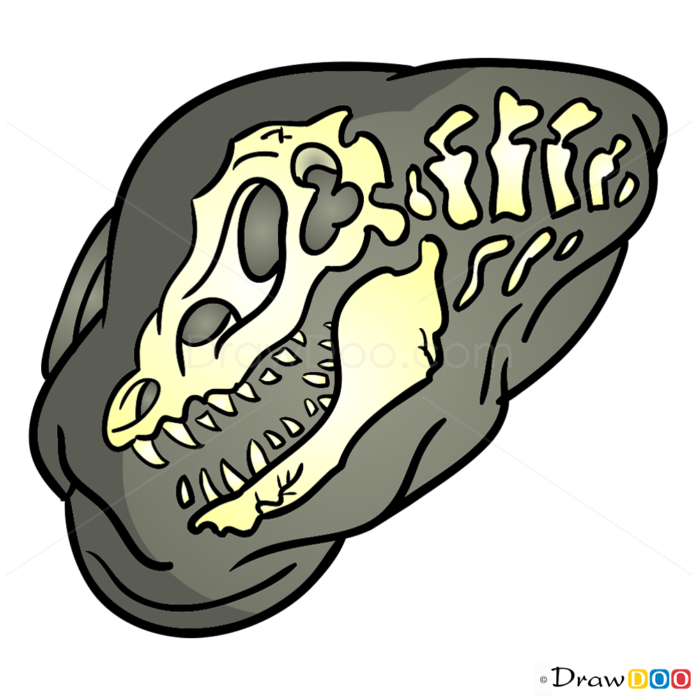 1000x999 how to draw fossil, dinosaurus - Dinosaur Fossil Drawing