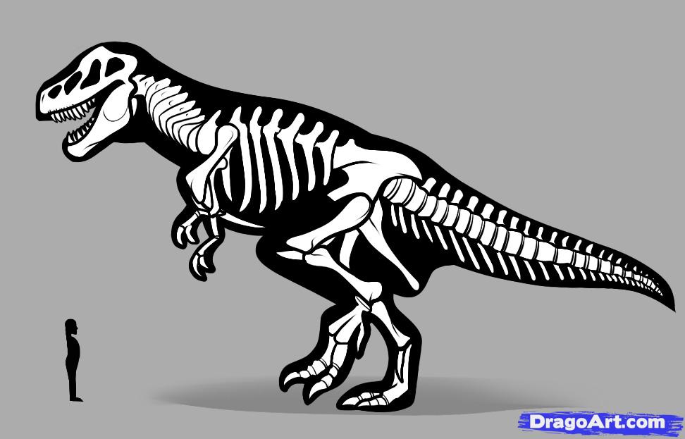 Dinosaur Fossil Drawing at Explore collection of