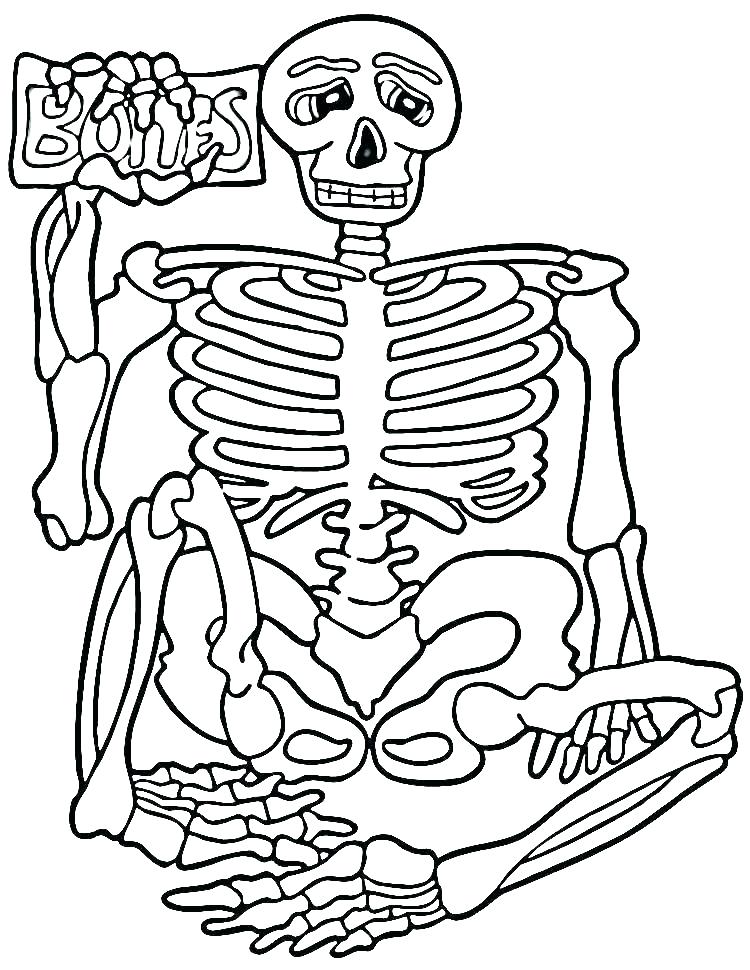 Dinosaur Fossil Drawing at Explore