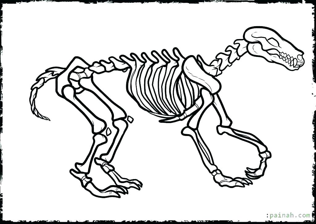 dinosaur fossil colouring pages