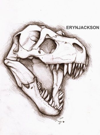 351x475 Dinosaur Head Sketch Tattoo In Sketches, Drawings - Dinosaur Head Drawing