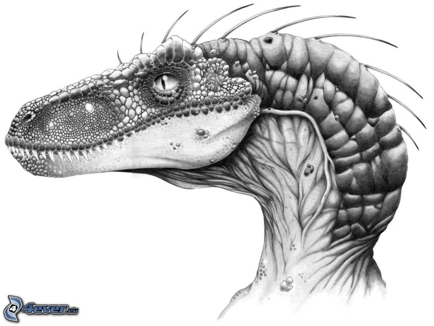 850x639 Dinosaur - Dinosaur Head Drawing
