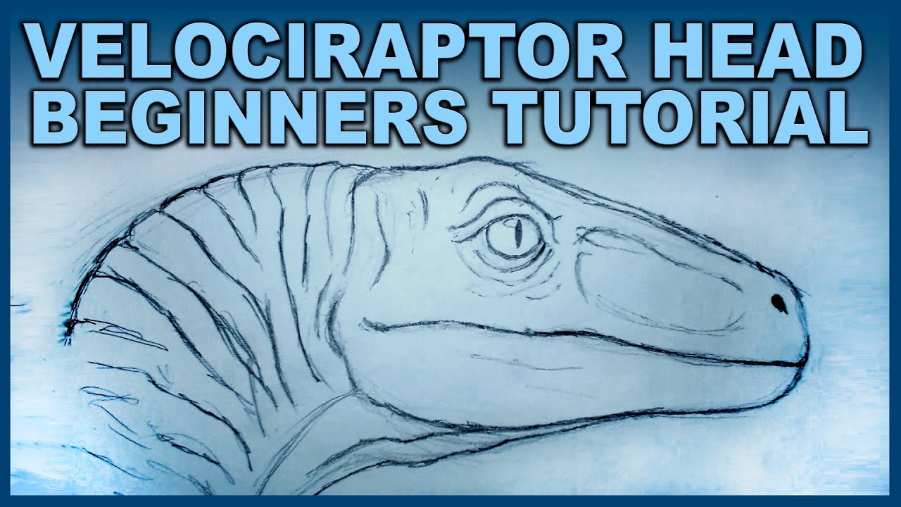 1280x720 Beginners Tutorial - Dinosaur Head Drawing