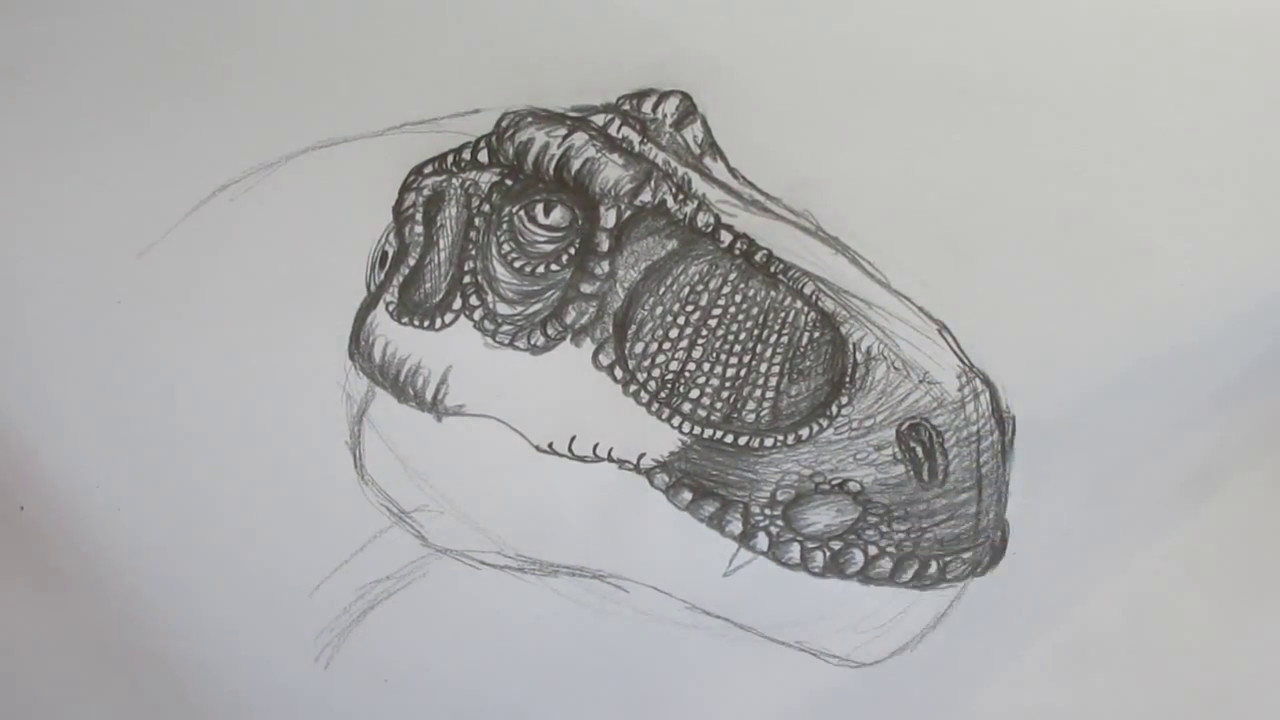 1280x720 Speed Drawing A T Rex Head - Dinosaur Head Drawing