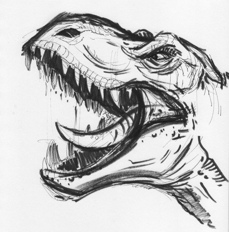 736x744 Dinosuar Sketch Dinosaur Sketch Pretty Sick Things To Draw - Dinosaur Head Drawing