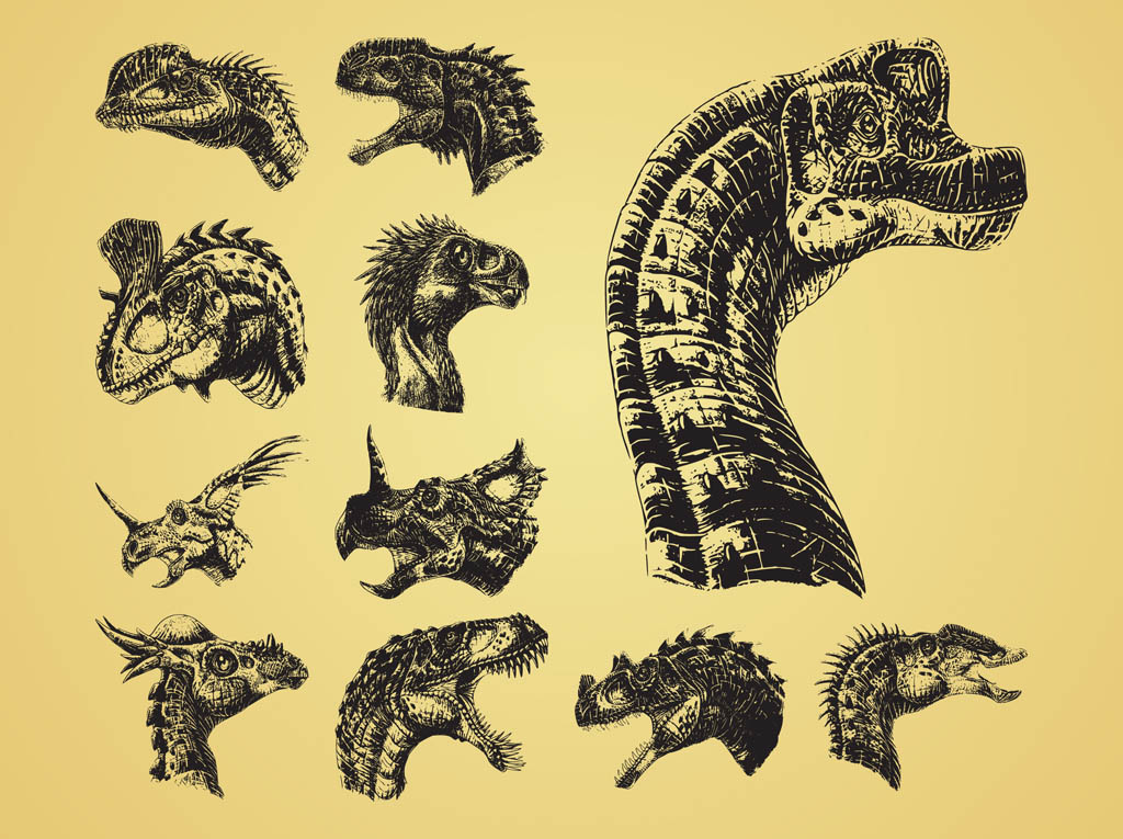 1024x765 Dinosaur Heads Vector Art Graphics - Dinosaur Head Drawing