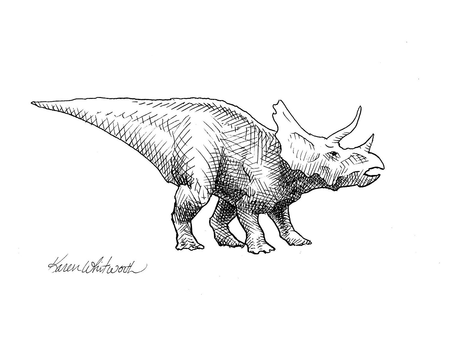 1500x1125 Triceratops Dinosaur Drawing Wall Art Print - Dinosaur Images For Drawing