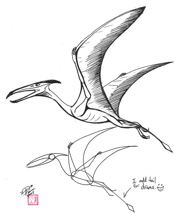 600x744 Dinosaur Pterodactyl Drawing Draw A Pterosaur - Dinosaur Line Drawing