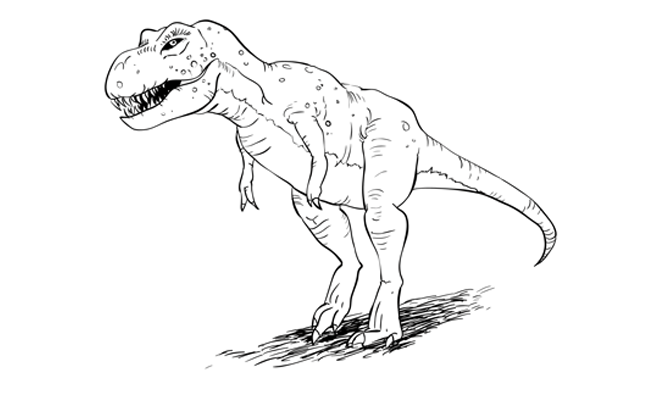 650x400 How To Draw A T Rex Dinosaur - Dinosaur Line Drawing