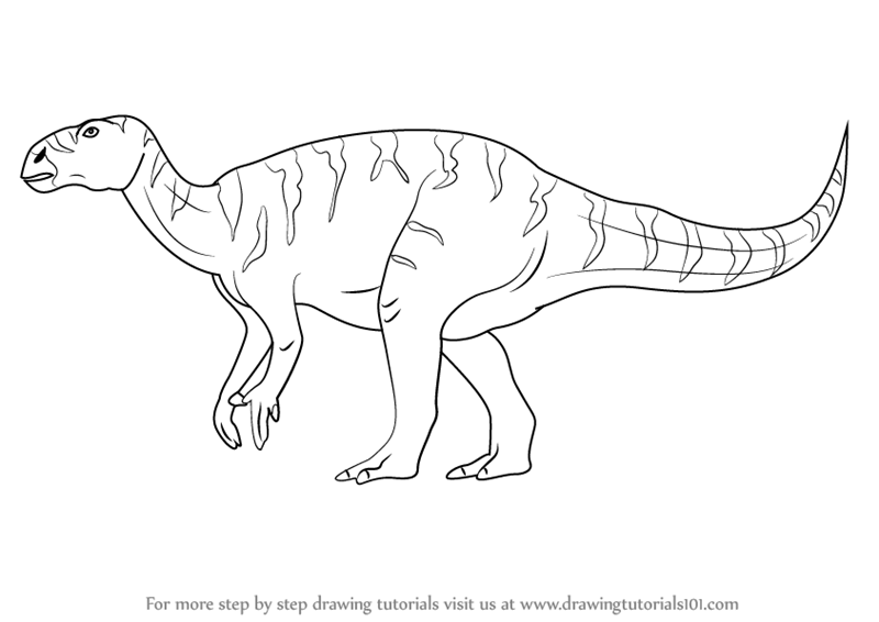 800x566 Learn How To Draw A Iguanodon - Dinosaur Line Drawing