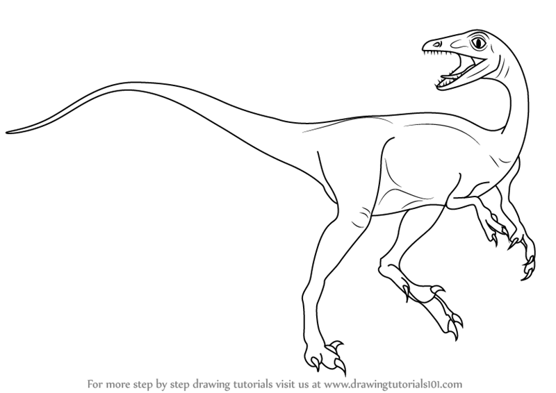 800x566 Learn How To Draw A Troodon - Dinosaur Line Drawing